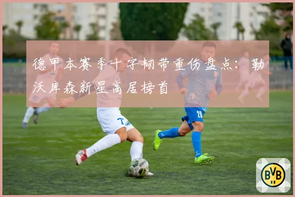 德甲本赛季十字韧带重伤盘点:勒沃库森新星高居榜首