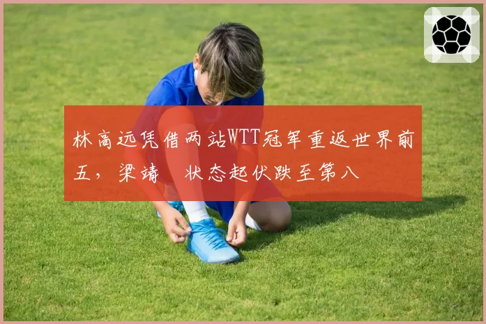 林高远凭借两站WTT冠军重返世界前五，梁靖崑状态起伏跌至第八