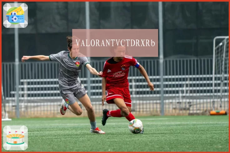 VALORANTVCTDRXRb